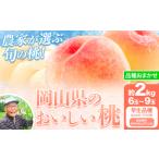 ふるさと納税 【先行予約】【6月中旬-7月上旬頃出荷】桃 早生品種 2kg もも 岡山 はなよめ 白川白鳳 岡山県 笠岡市 送料無料 果物 フルーツ お取.. 岡山県笠岡市