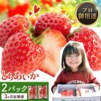 いちご とちあいか 2パック