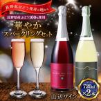 山辺ワインセット720ml×2本