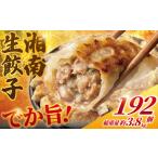 ふるさと納税 餃子 192個 3.8kg 餃子 神奈川県藤沢市