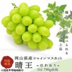 シャインマスカット 晴王