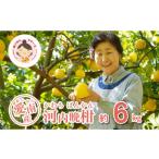 ふるさと納税 河内晩�