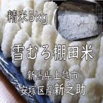 新之助 棚田米 精米 5kg