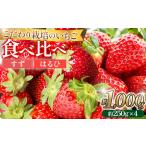ふるさと納税 こだわり栽培 いちご【食べ比べ】　すず&はるひ（各2パック）【2026年1月下旬〜2026年4月末までお届け】 愛知県大府市