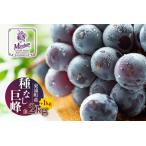 ショッピングふるさと納税 先行予約 ふるさと納税 【先行予約】【2026年8月発送】東浦町産 種なし巨峰・約3kg（2kg＋1kg！）【みっちゃんぶどう園】 愛知県東浦町