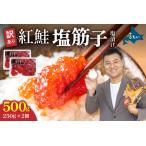 ふるさと納税 〈2026年2月発送〉訳あ