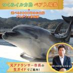 イルカ体験 市長が案内する つくみイルカ島