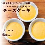 ニューヨークスタイルチーズケーキ プレーン