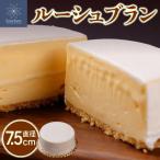 ルーシュブラン ナチュラルチーズ 熟成カマンベール
