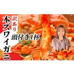 本ズワイガニ 頭付き 訳あり700g 1杯