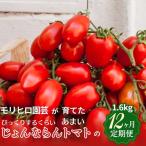 トマト定期便 じょんならん モリヒロ園芸