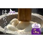 3ヵ月 はくちょうもち 白米 5kg