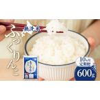 10ヵ月 600g