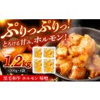 黒毛和牛ホルモン 味噌 1.2kg