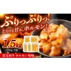 黒毛和牛ホルモン 味噌 1.5kg