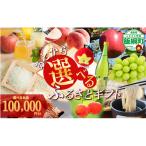 あとからセレクト ポイント 寄附額 100000円分
