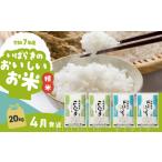 精米 コシヒカリ 20kg
