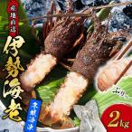 伊勢海老 冷凍 2kg