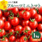 トマト フルーツミニトマト 1kg