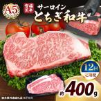 宮福笑牛 とちぎ和牛 A5 サーロインステーキ 200g×2枚