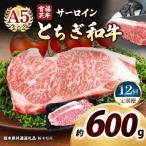 宮福笑牛 とちぎ和牛 A5 サーロインステーキ 200g×3枚