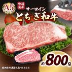 宮福笑牛 とちぎ和牛 A5 サーロインステーキ 200g×4枚