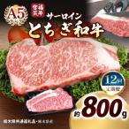 宮福笑牛 とちぎ和牛 A5 サーロインステーキ 200g×4枚