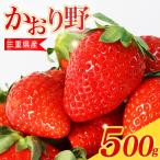 苺 かおり野 500g