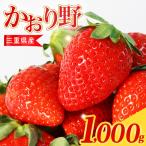 苺 250g×4P