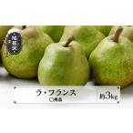 ふるさと納税 先行予約 ラ・フランス ◯秀品 約3kg 令和8年産 2026年産 佐竹物産 sb-lamsx3 山形県尾花沢市