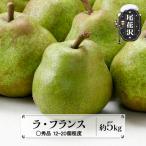 ラフランス ◯秀品 約5kg