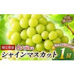 シャインマスカット 丹波篠山産 大粒