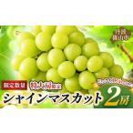 シャインマスカット 丹波篠山産 大粒
