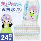 ミネラルウォーター 500mL×24本