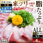 若狭 日向の天然寒ブリ 脂 部位ごと食べ比べ