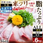 若狭 日向の天然寒ブリ 脂 部位ごと食べ比べ