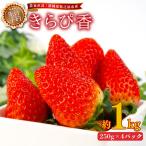 苺 きらぴ香 1kg