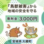 大郷町への寄付（返礼品なし）