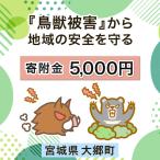 大郷町への寄付（返礼品なし）