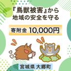 大郷町への寄付（返礼品なし）