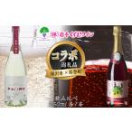 共通返礼品 滝沢りんごワイン ポムシードル