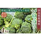 fu.... налог Nara префектура . замок производство брокколи примерно 4kg [2025 год 11 месяц сверху .~5 месяц последняя декада последовательный отправка ]. замок город [smlk069] Nara префектура . замок город 