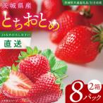 ショッピングふるさと納税 先行予約 ふるさと納税 【先行予約12月下旬から発送】【茨城県共通返礼品/行方市産】JAなめがたしおさい直送「とちおとめ」2箱 (8パック入)【大粒 酸味 甘.. 茨城県阿見町