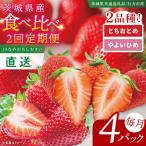 いちご とちおとめ やよいひめ イチゴ 苺 食べ比べ