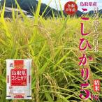 内容量 こしひかり コシヒカリ 精米 5kg