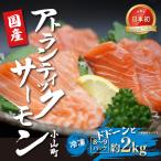 fu.... налог местного производства salmon рефрижератор 8~9P примерно 2kg salmon Shizuoka префектура Ояма блок 