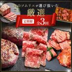 肉のソムリエ厳選定期便 牛タン3種食べ比べ