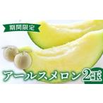 ふるさと納税 【2025年11月中旬?発送】【数量限定】 アールスメロン 2玉 / 3kg以上 高級 果物 フルーツ メロン マスクメロン めろん / 南島原.. 長崎県南島原市