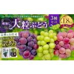 訳あり 大粒 ぶどう 3種