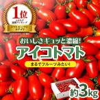 アイコトマト 約3kg